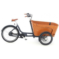 E-Lastenfahrrad
